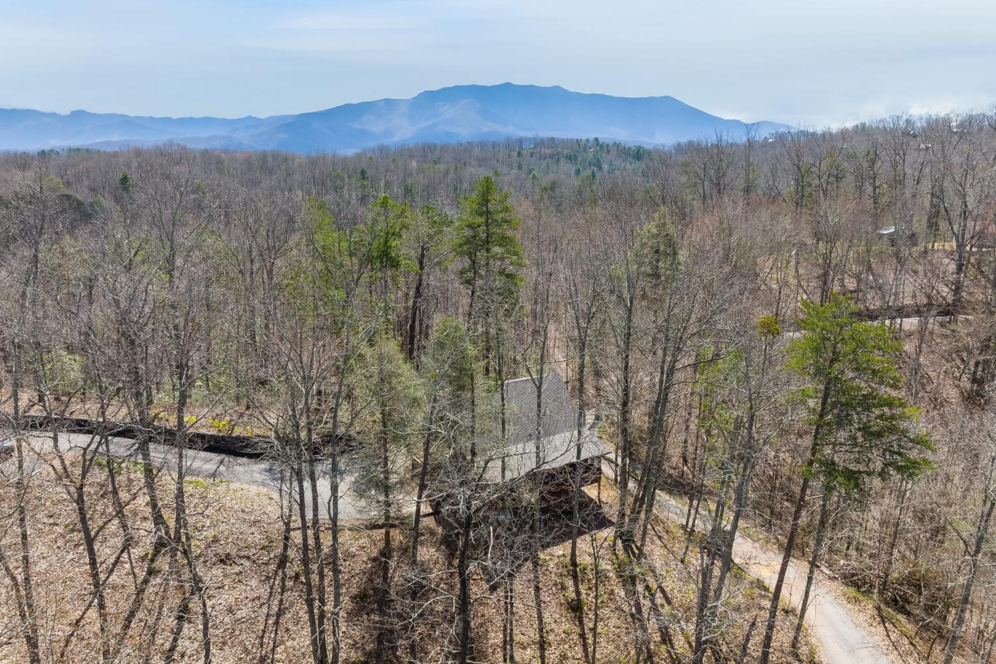Dudley II By Avantstay Comfortable Cabin W Hot Tub Views Pigeon Forge Zewnętrze zdjęcie